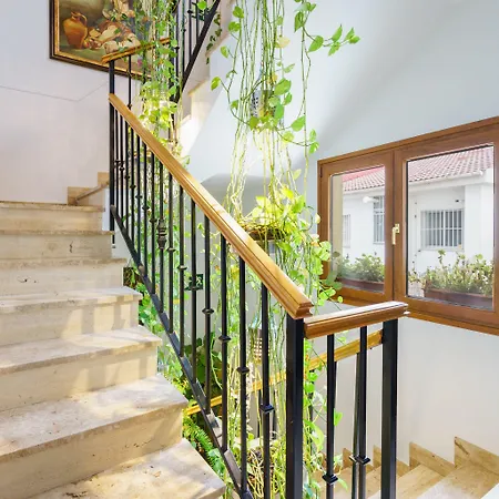 Boutique Reina Mora 2* גרנדה