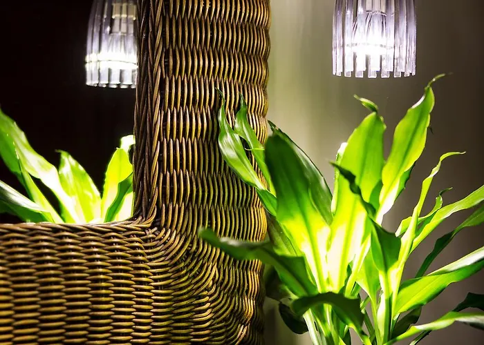 Boutique Reina Mora 2*